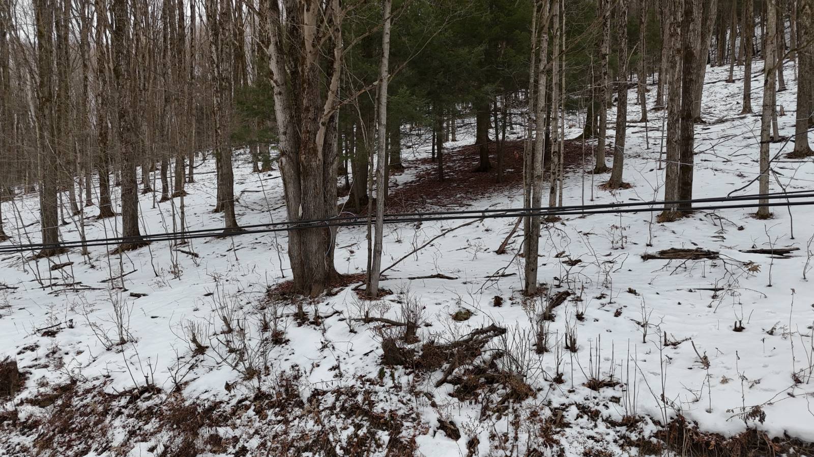 #24 photo, 00 Dietsche Road, Cherry Valley , NY 13320