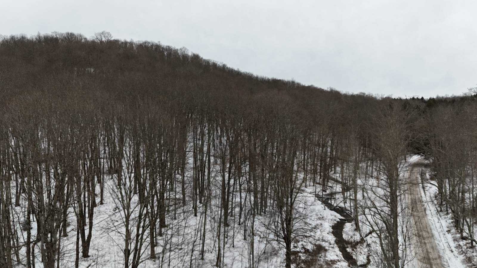 #25 photo, 00 Dietsche Road, Cherry Valley , NY 13320