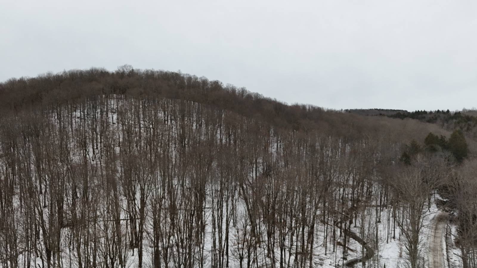 #26 photo, 00 Dietsche Road, Cherry Valley , NY 13320