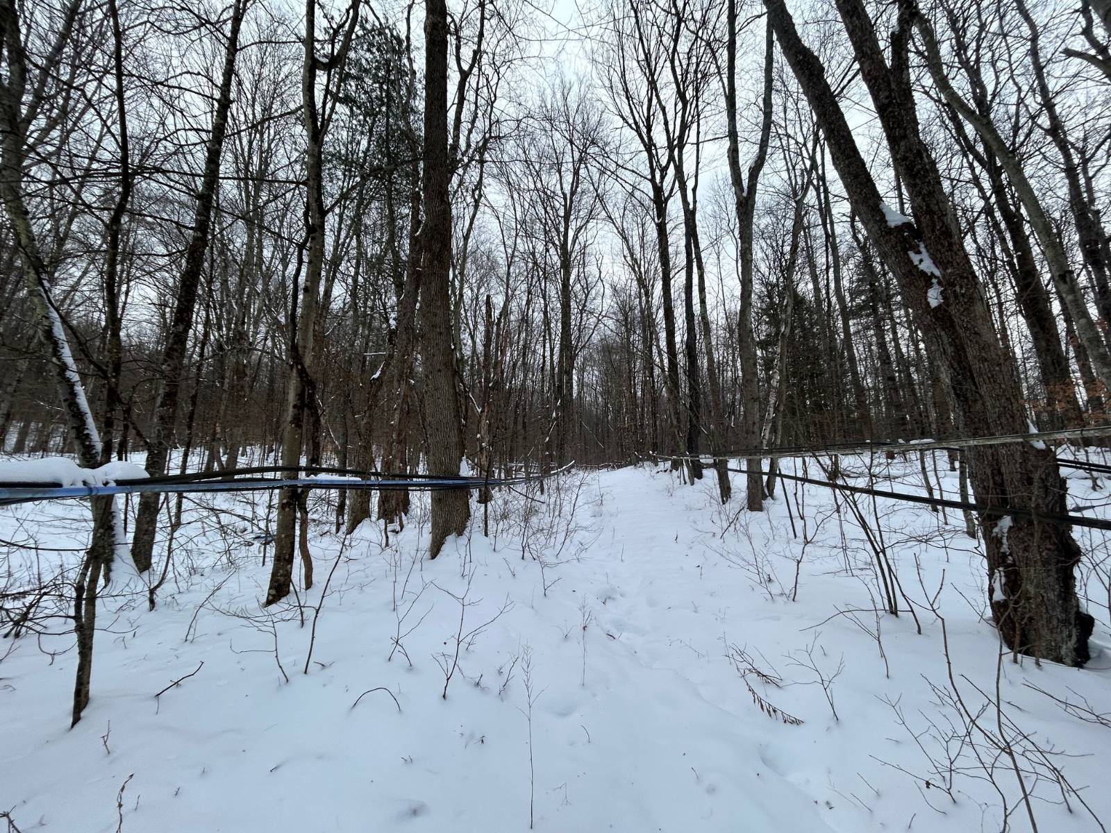 #3 photo, 00 Dietsche Road, Cherry Valley , NY 13320