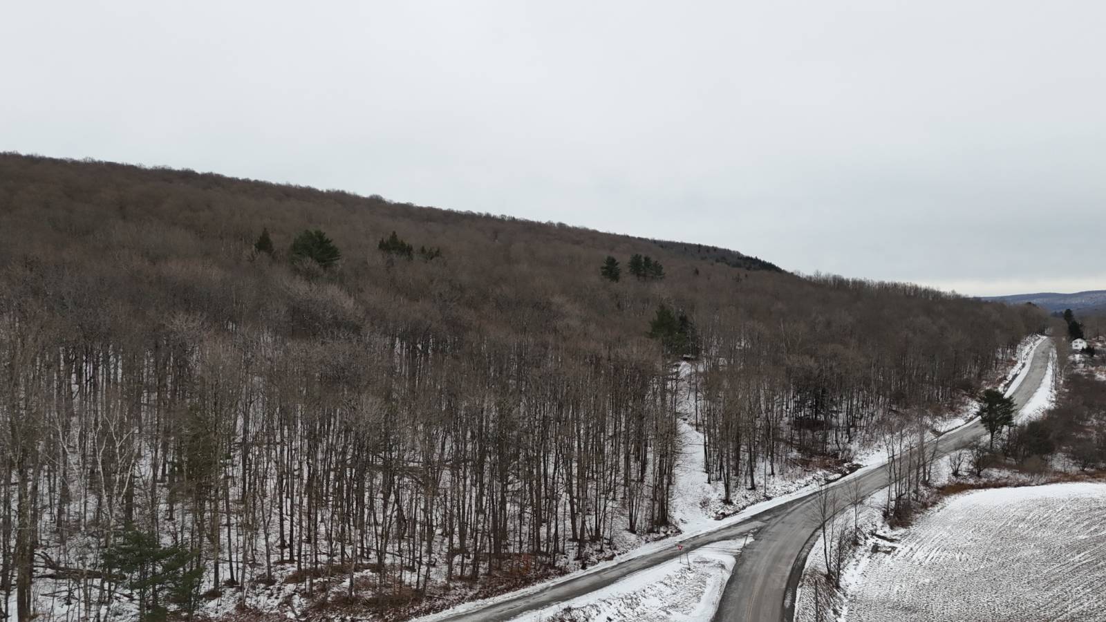 #31 photo, 00 Dietsche Road, Cherry Valley , NY 13320