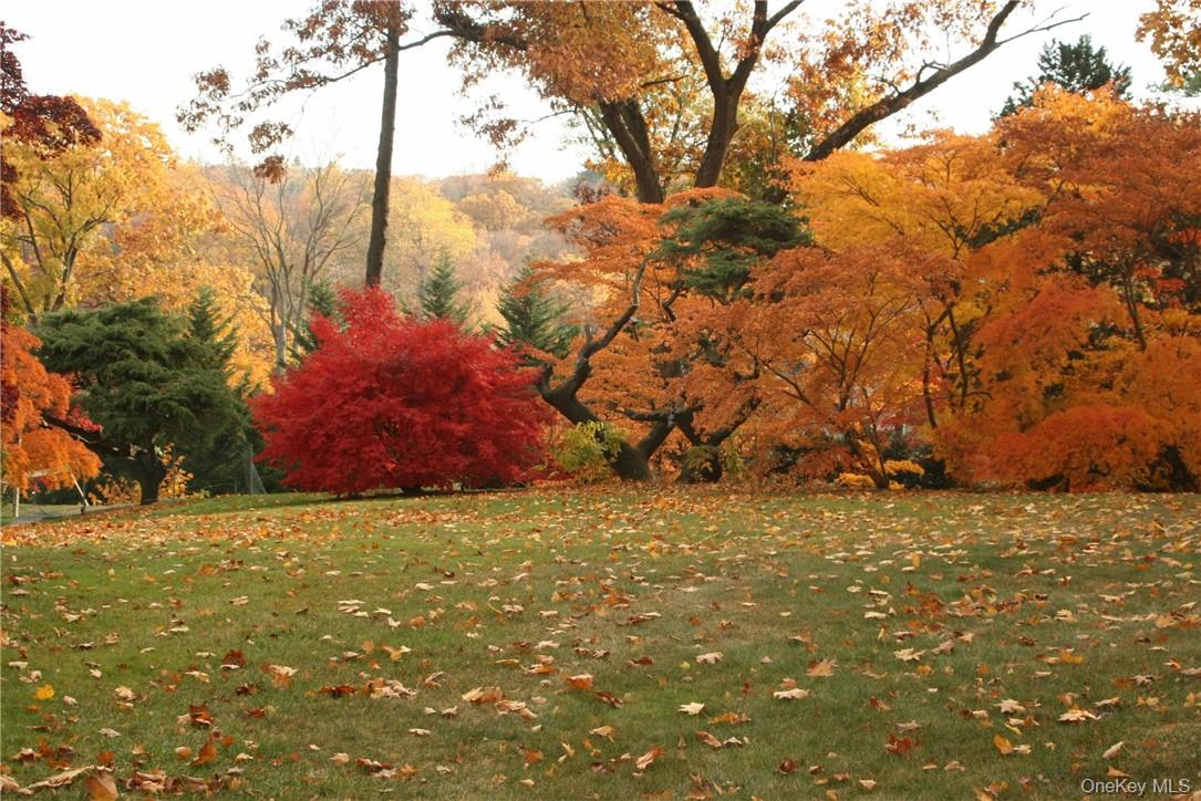 #1 photo, 22 Castle Walk, Scarsdale , NY 10583