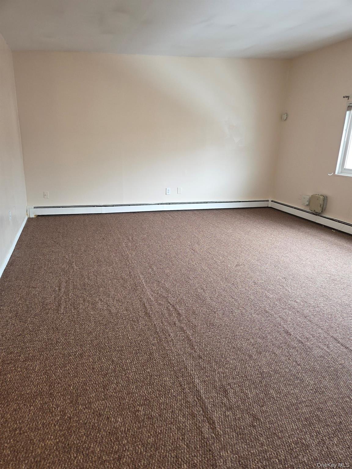 #2 photo, 259 N Newbridge Road, Levittown , NY 11756