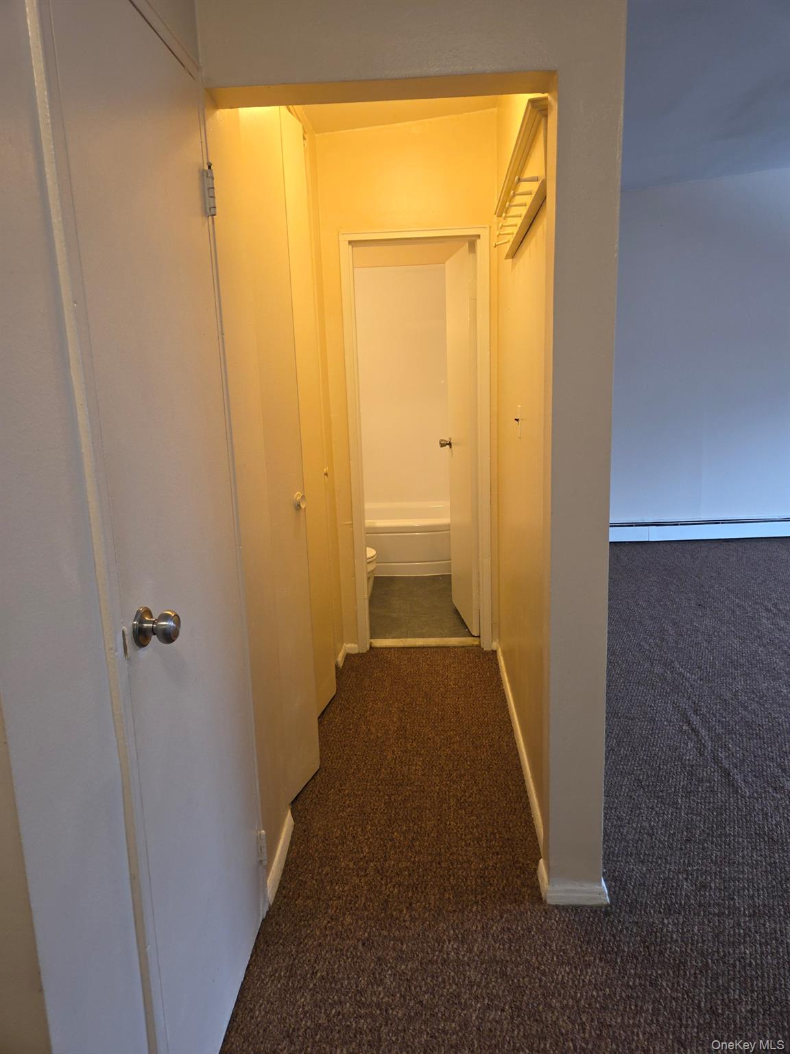 #3 photo, 259 N Newbridge Road, Levittown , NY 11756