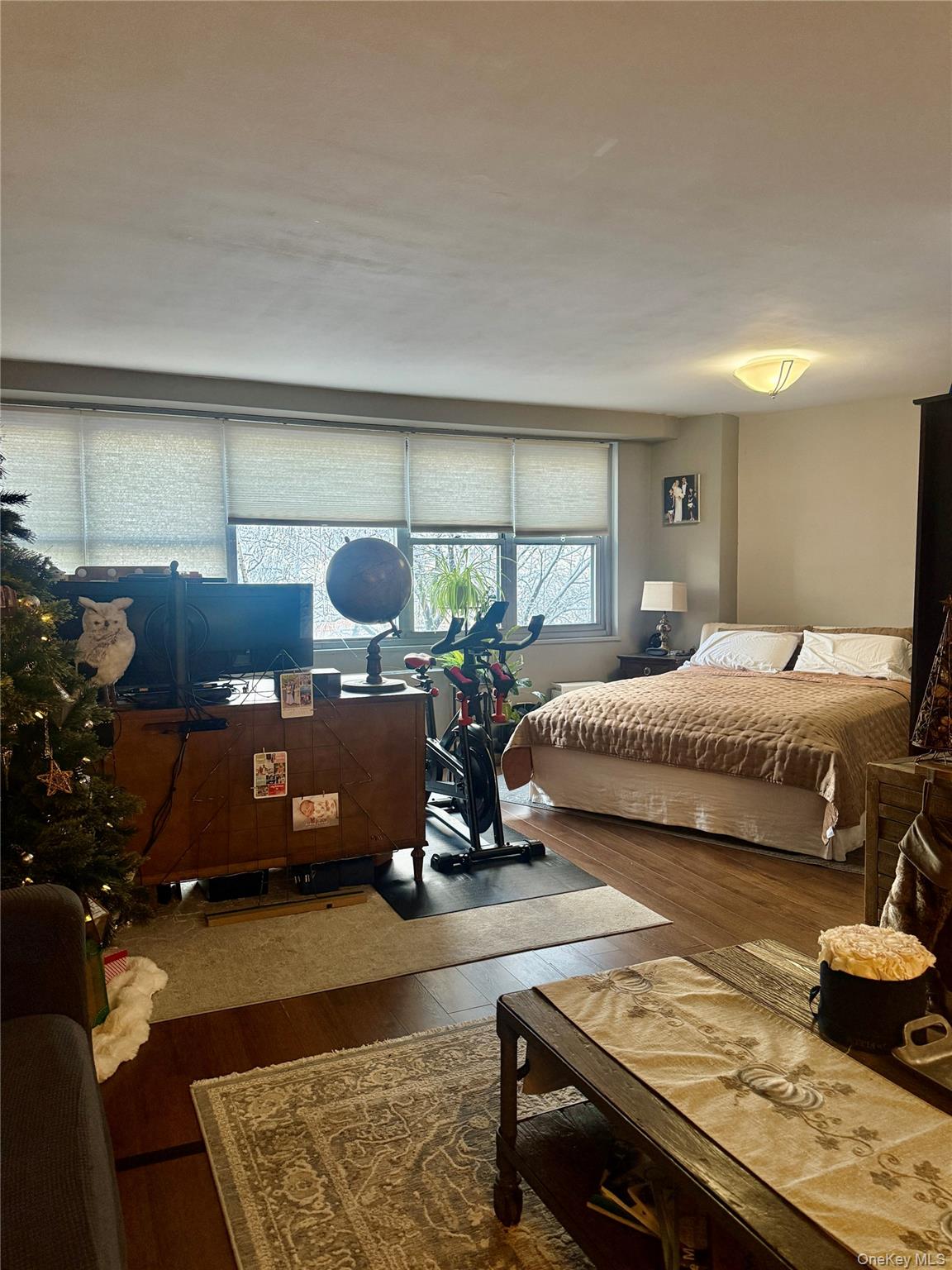 #12 photo, 61-20 Grand Central Parkway, 皇后区 Forest Hills , NY 11375