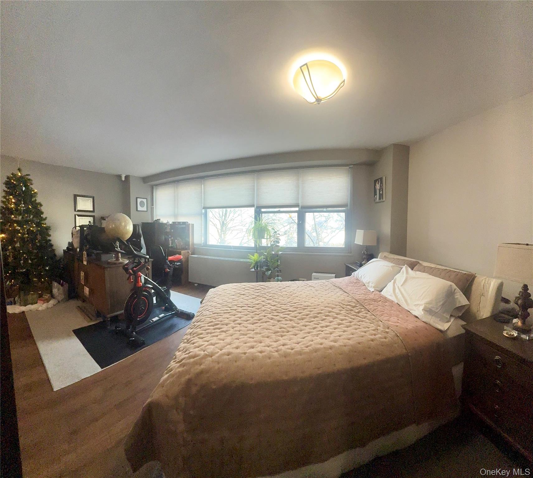 #15 photo, 61-20 Grand Central Parkway, 皇后区 Forest Hills , NY 11375