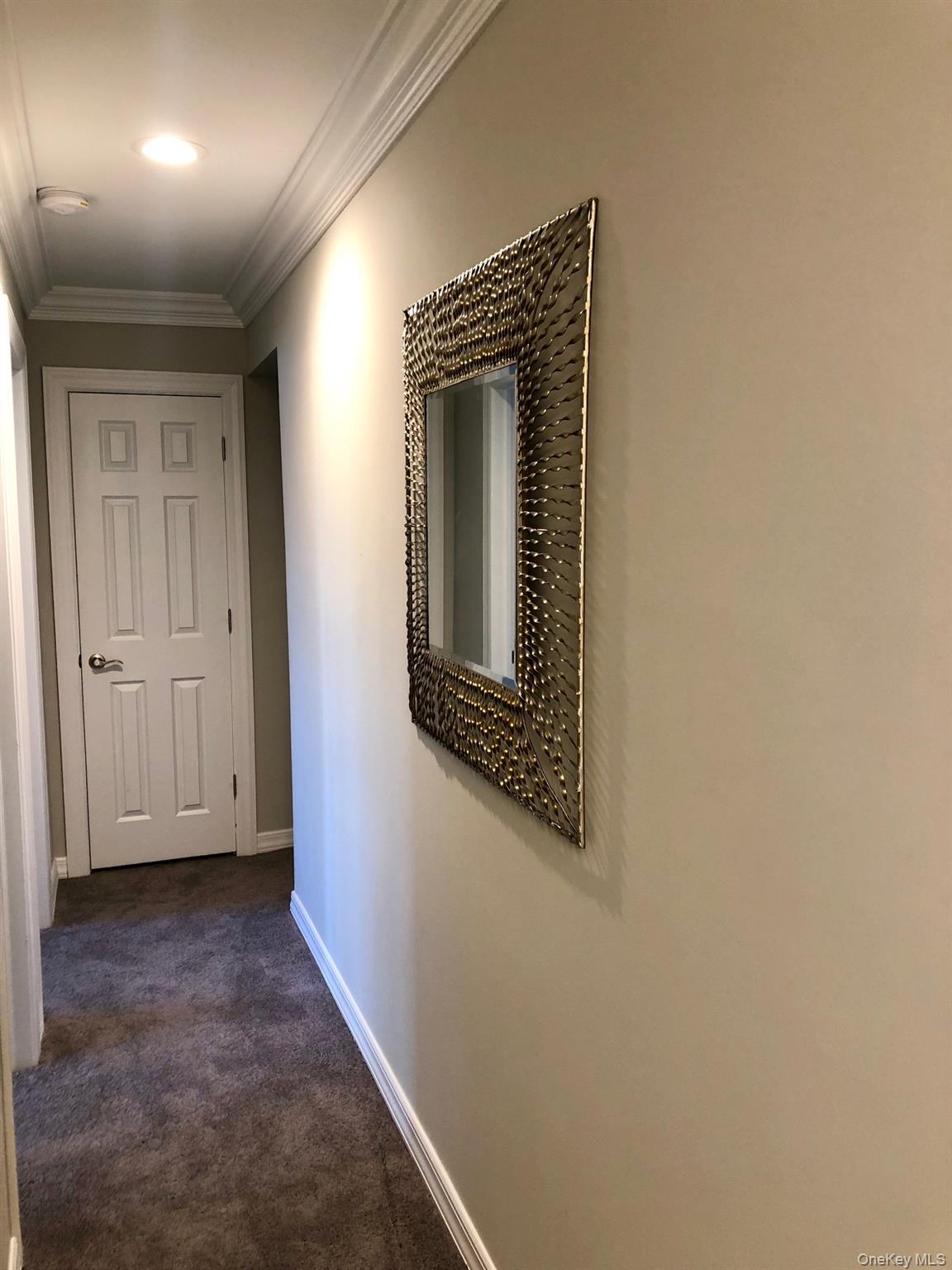 #5 photo, 425 Newbridge Road, 长岛 East Meadow , NY 11554