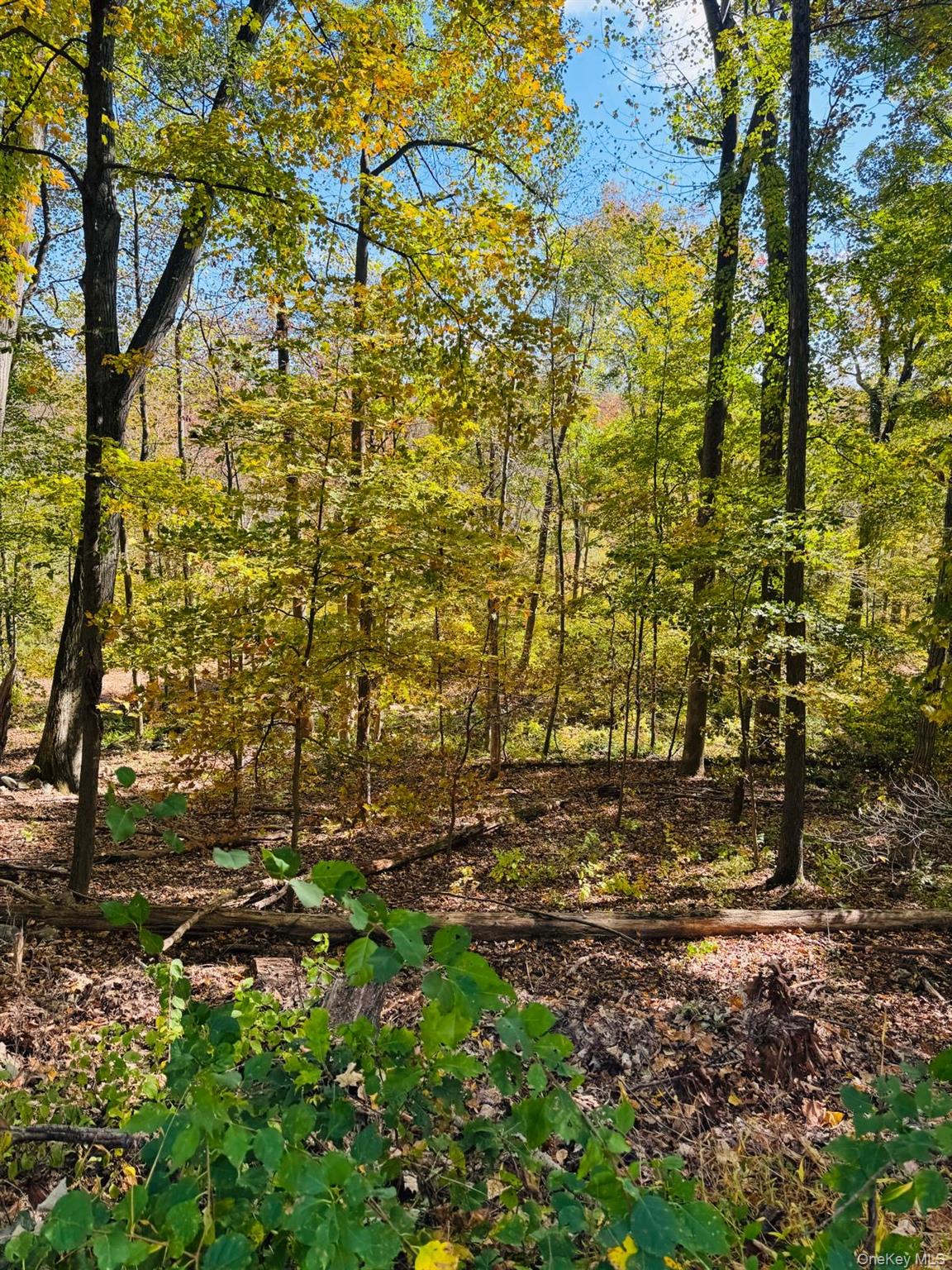 #7 photo, lot 10 Shamrock Drive, Putnam Valley , NY 10579