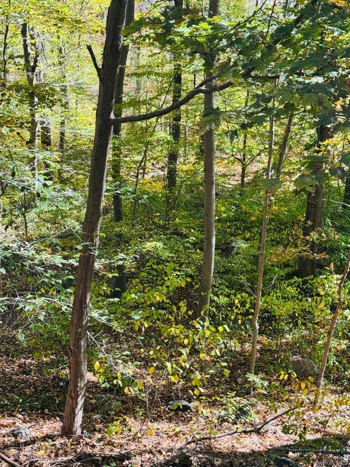 #8 photo, lot 10 Shamrock Drive, Putnam Valley , NY 10579