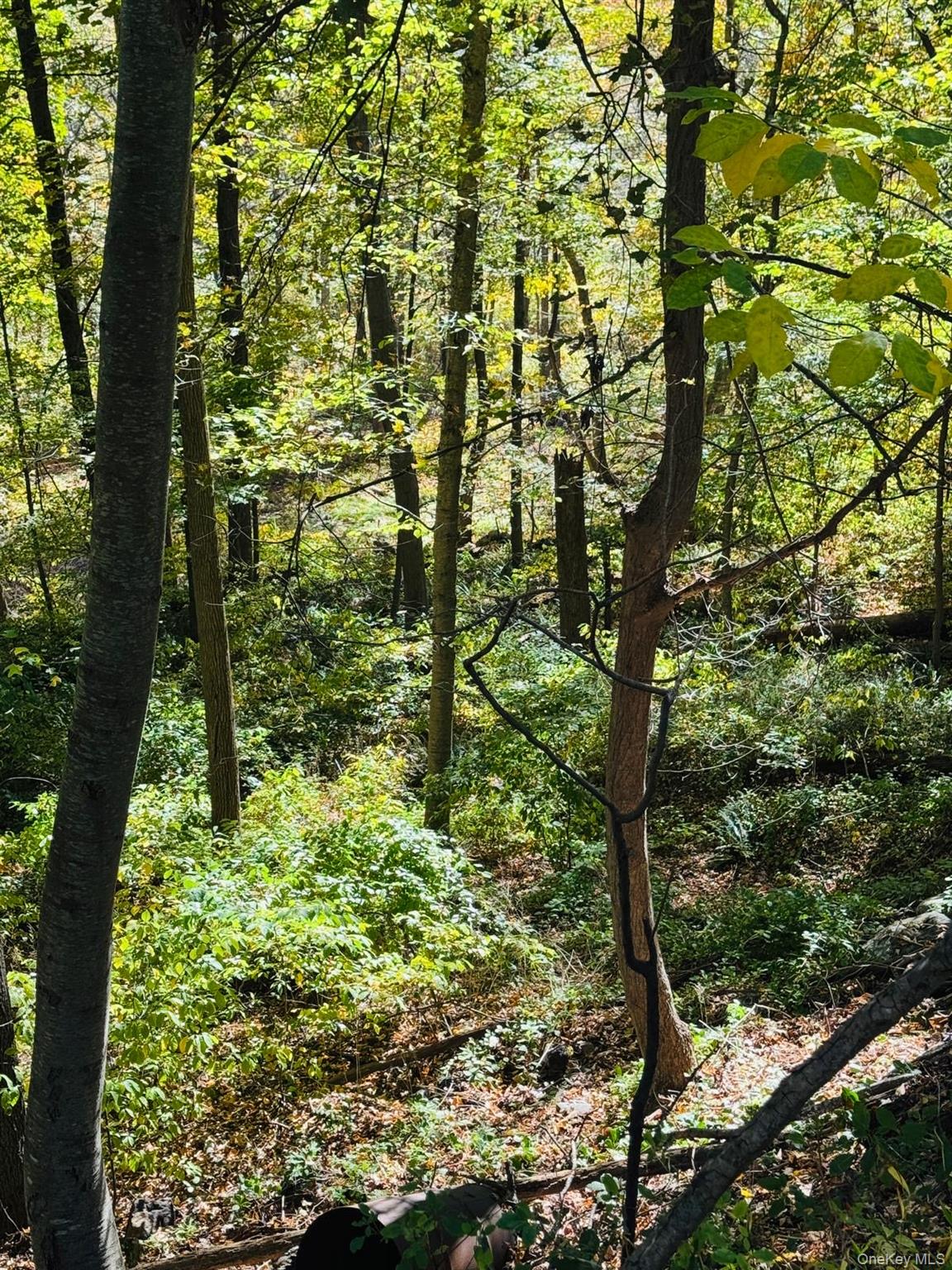 #10 photo, LOT 11 Shamrock Drive, Mahopac , NY 10579