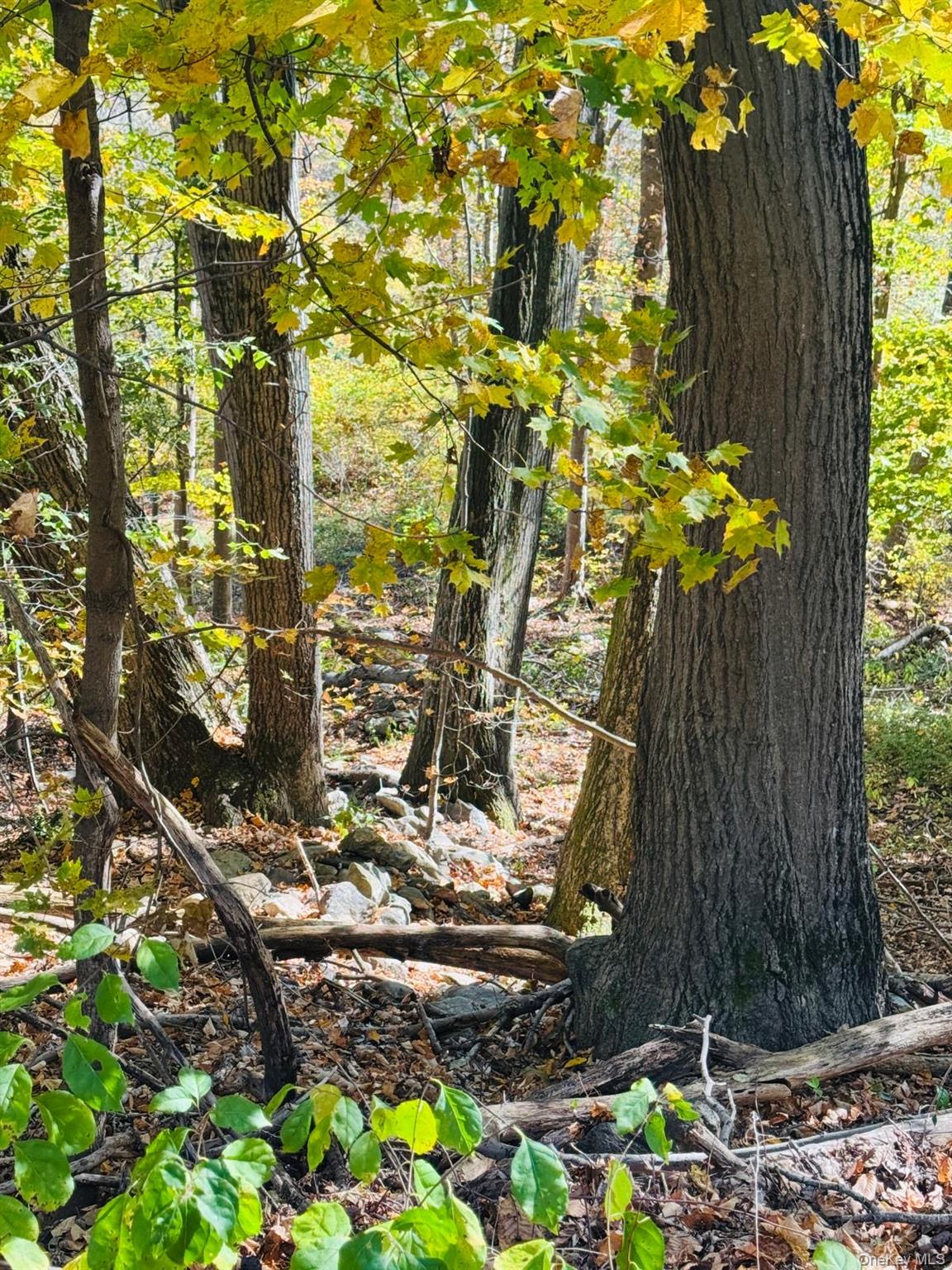 #11 photo, LOT 11 Shamrock Drive, Mahopac , NY 10579