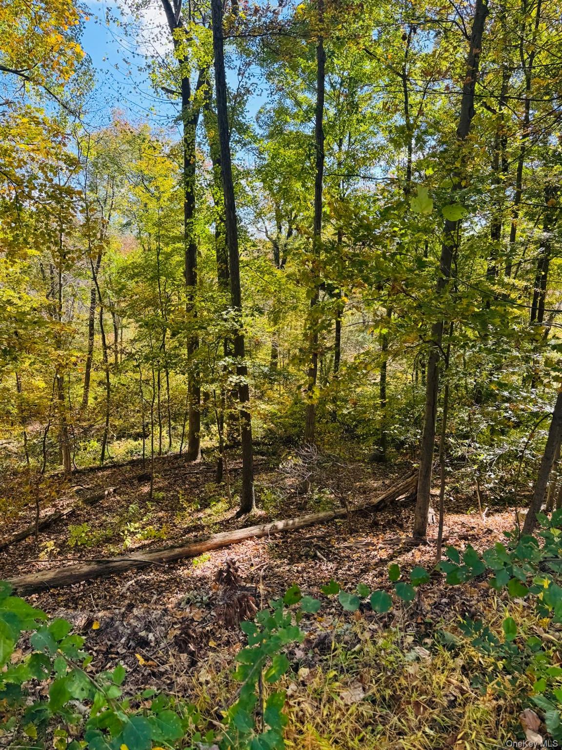 #3 photo, LOT 11 Shamrock Drive, Mahopac , NY 10579