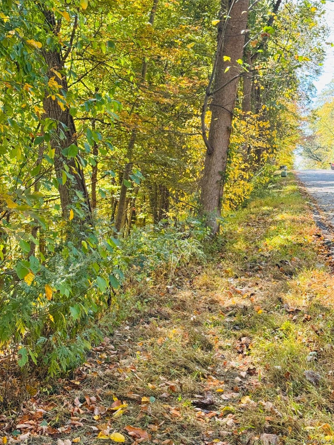 #6 photo, LOT 11 Shamrock Drive, Mahopac , NY 10579