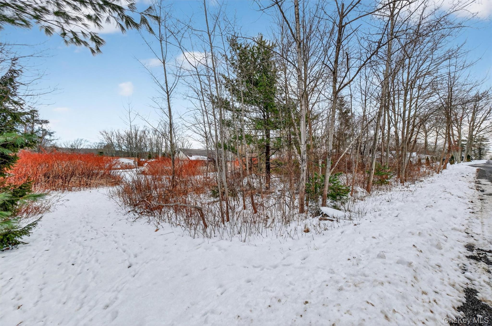 #5 photo, 51 Laurel Trail, 뉴욕주 Wurtsboro , NY 12790