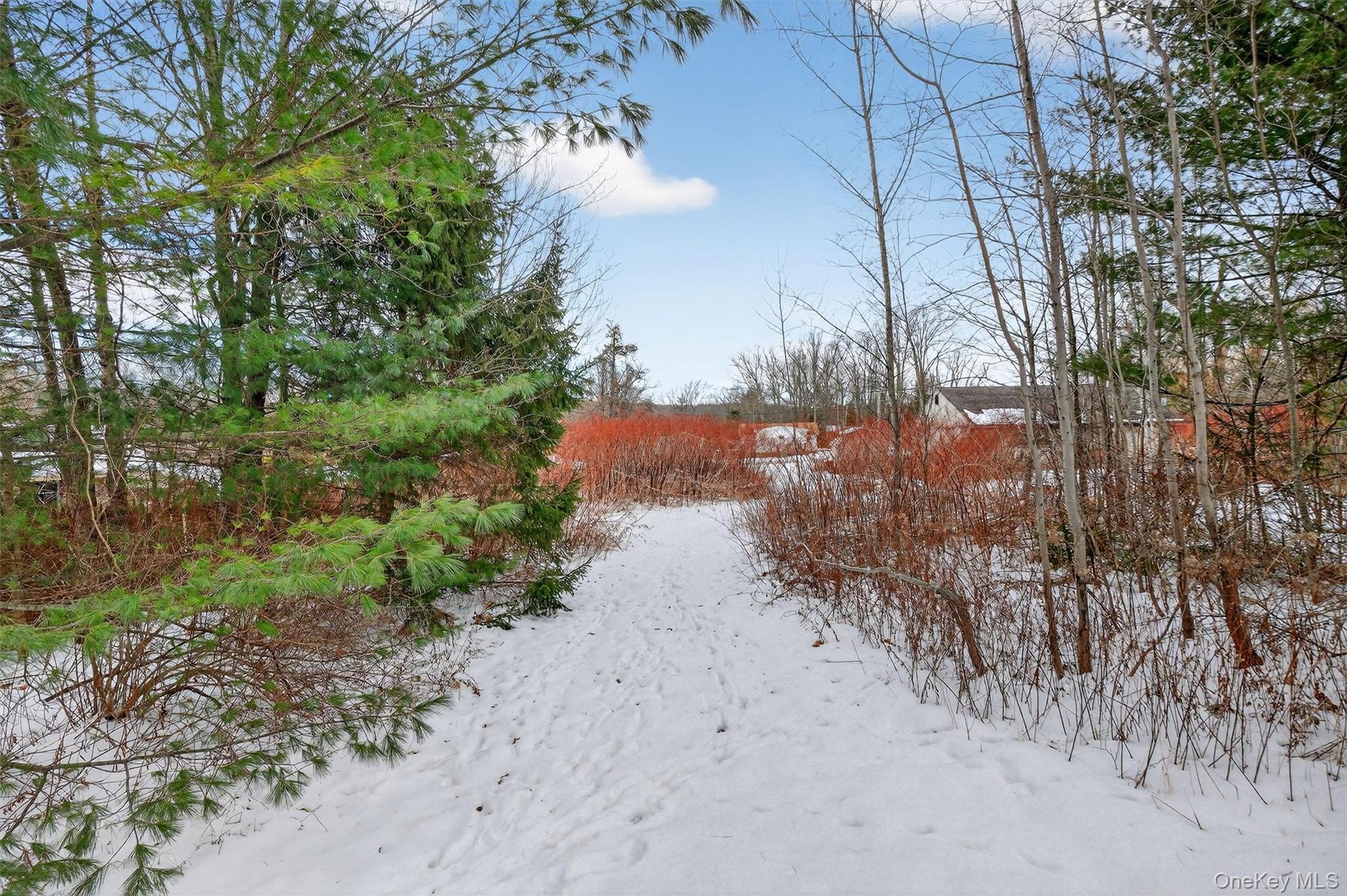 #6 photo, 51 Laurel Trail, 뉴욕주 Wurtsboro , NY 12790