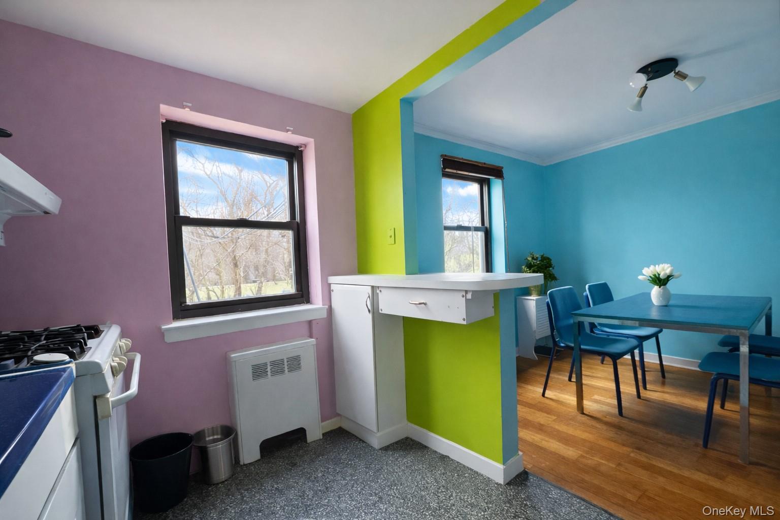 #20 photo, 6 West Mill Drive, 长岛 大颈 Great Neck , NY 11021