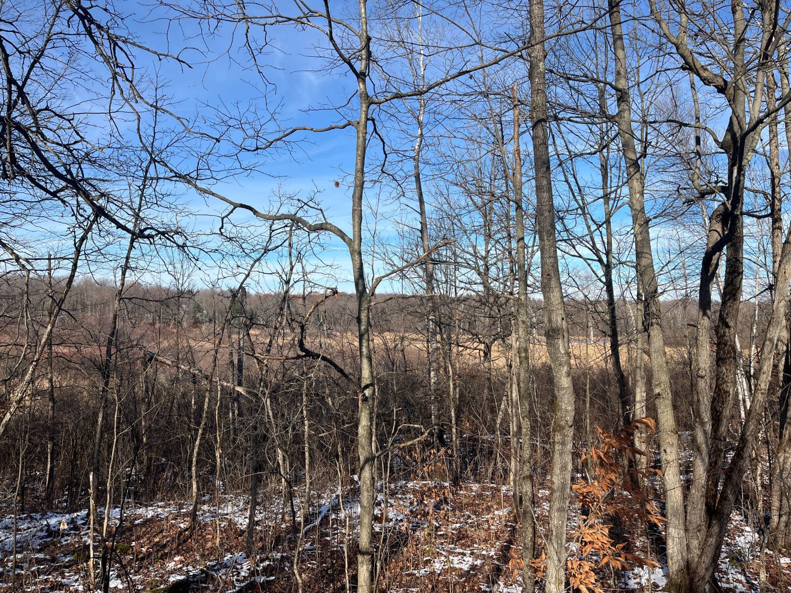 #42 photo, 895 Cr 20, Richville , NY 13681