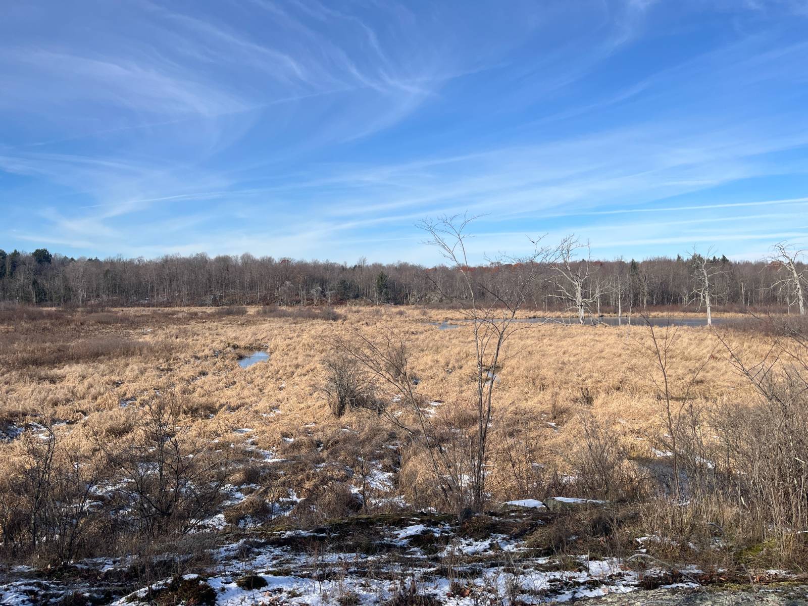 #43 photo, 895 Cr 20, Richville , NY 13681