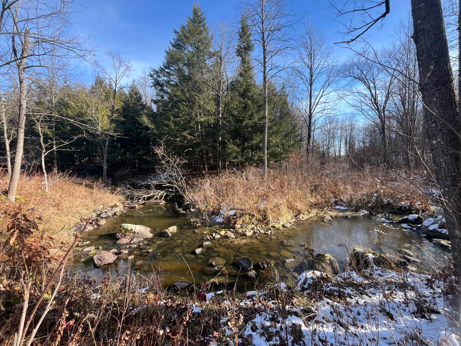 #45 photo, 895 Cr 20, Richville , NY 13681