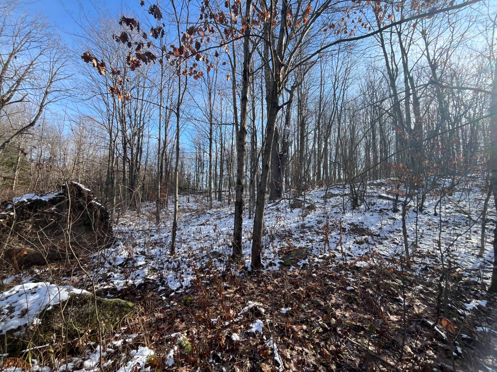 #46 photo, 895 Cr 20, Richville , NY 13681