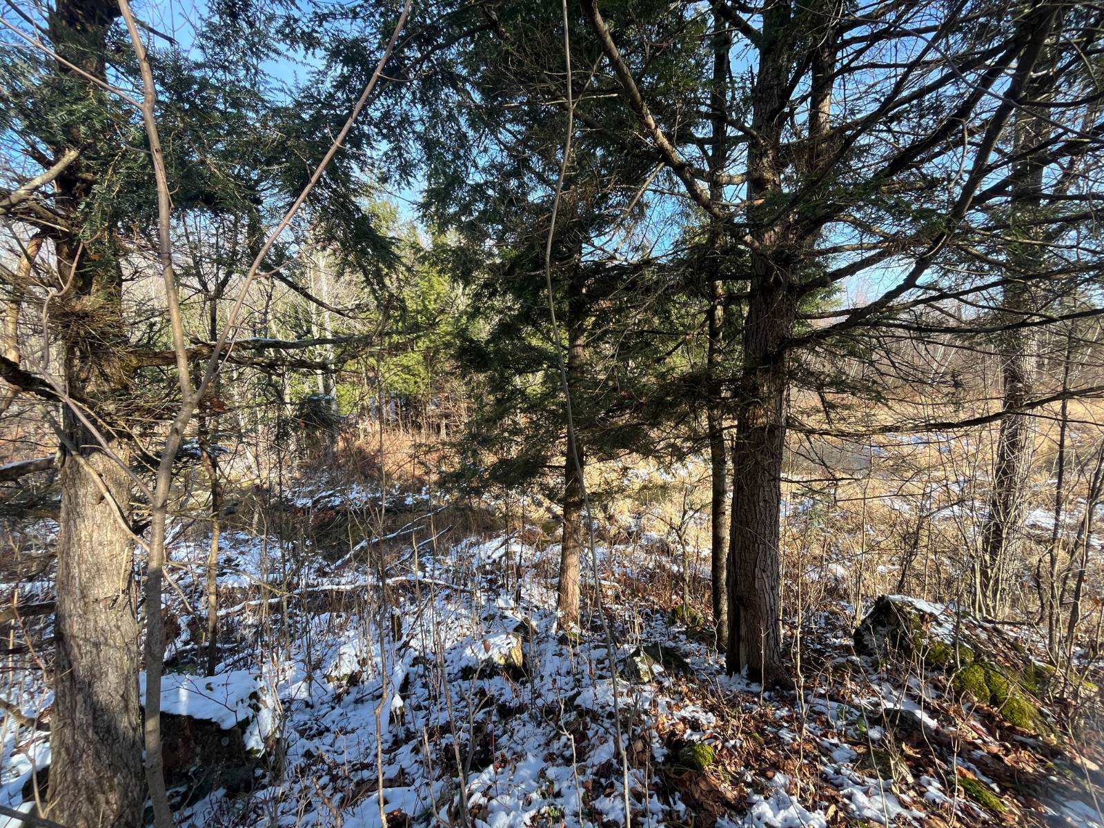 #48 photo, 895 Cr 20, Richville , NY 13681