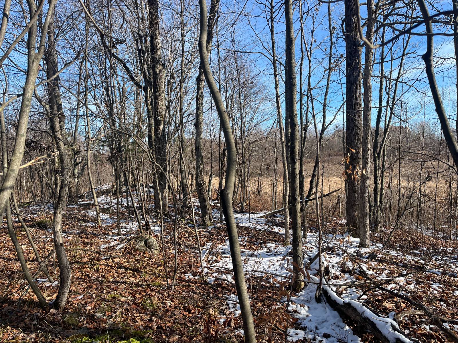 #49 photo, 895 Cr 20, Richville , NY 13681