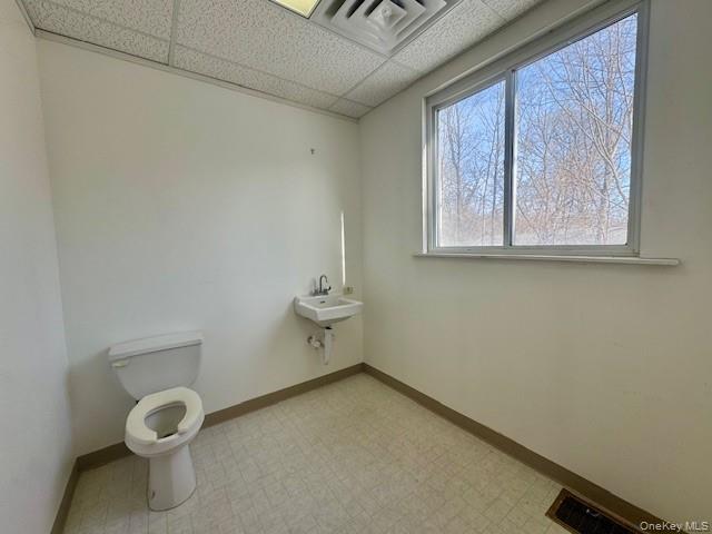 #13 photo, 1765 Route 44, 紐約州 Pleasant Valley , NY 12569