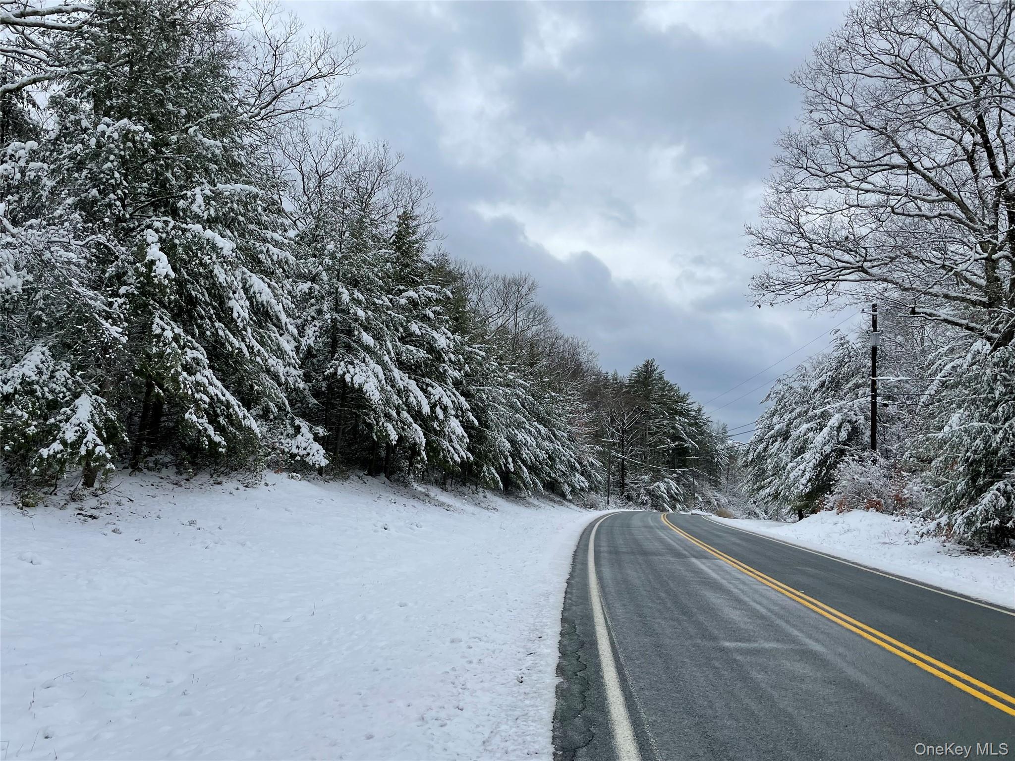 #1 photo, 1315 Sackett Lake Rd, 뉴욕주 Forestburgh , NY 12777