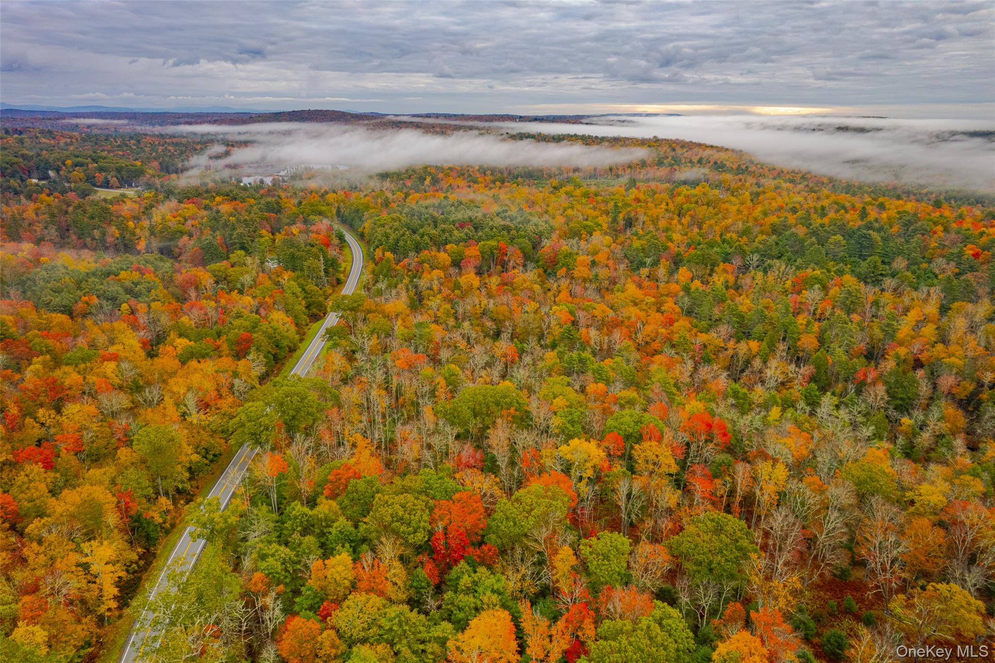 #11 photo, 1315 Sackett Lake Rd, 뉴욕주 Forestburgh , NY 12777