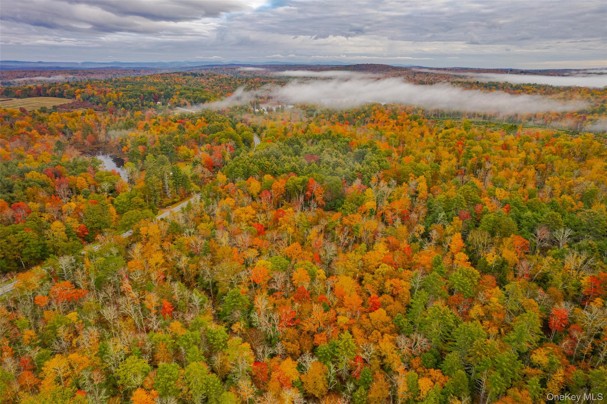 #14 photo, 1315 Sackett Lake Rd, 뉴욕주 Forestburgh , NY 12777