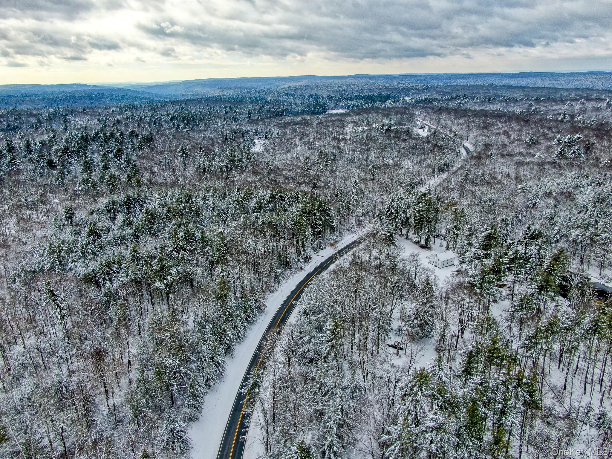 #17 photo, 1315 Sackett Lake Rd, 뉴욕주 Forestburgh , NY 12777