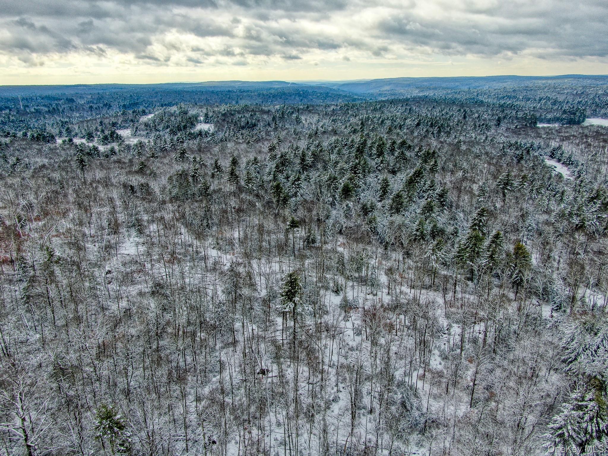 #18 photo, 1315 Sackett Lake Rd, 뉴욕주 Forestburgh , NY 12777