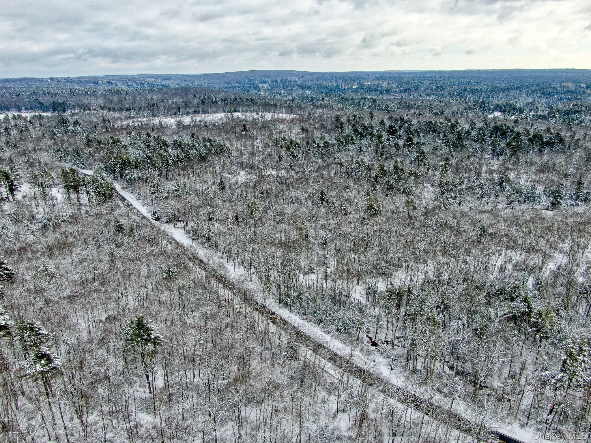 #20 photo, 1315 Sackett Lake Rd, 뉴욕주 Forestburgh , NY 12777