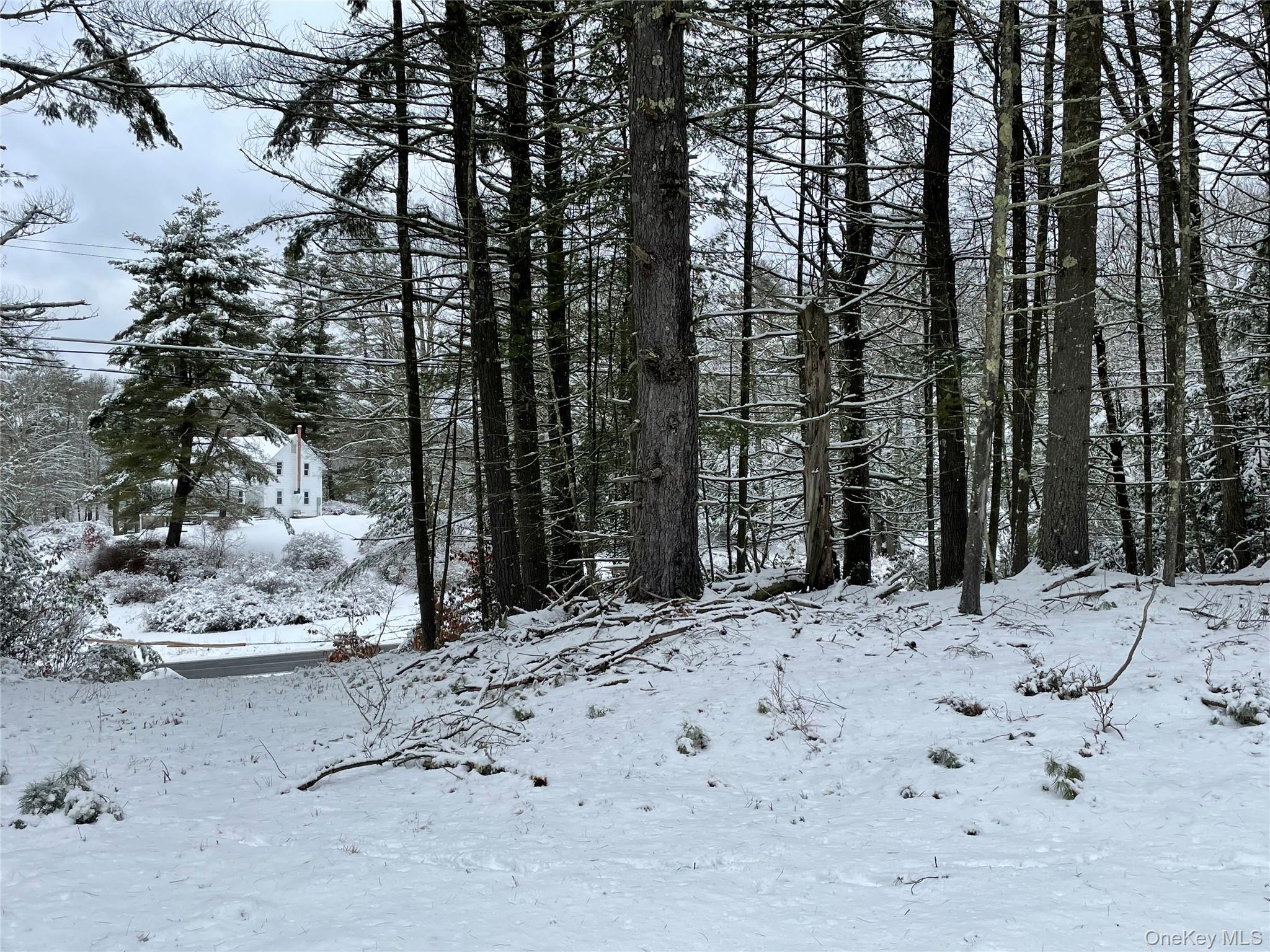 #3 photo, 1315 Sackett Lake Rd, 뉴욕주 Forestburgh , NY 12777