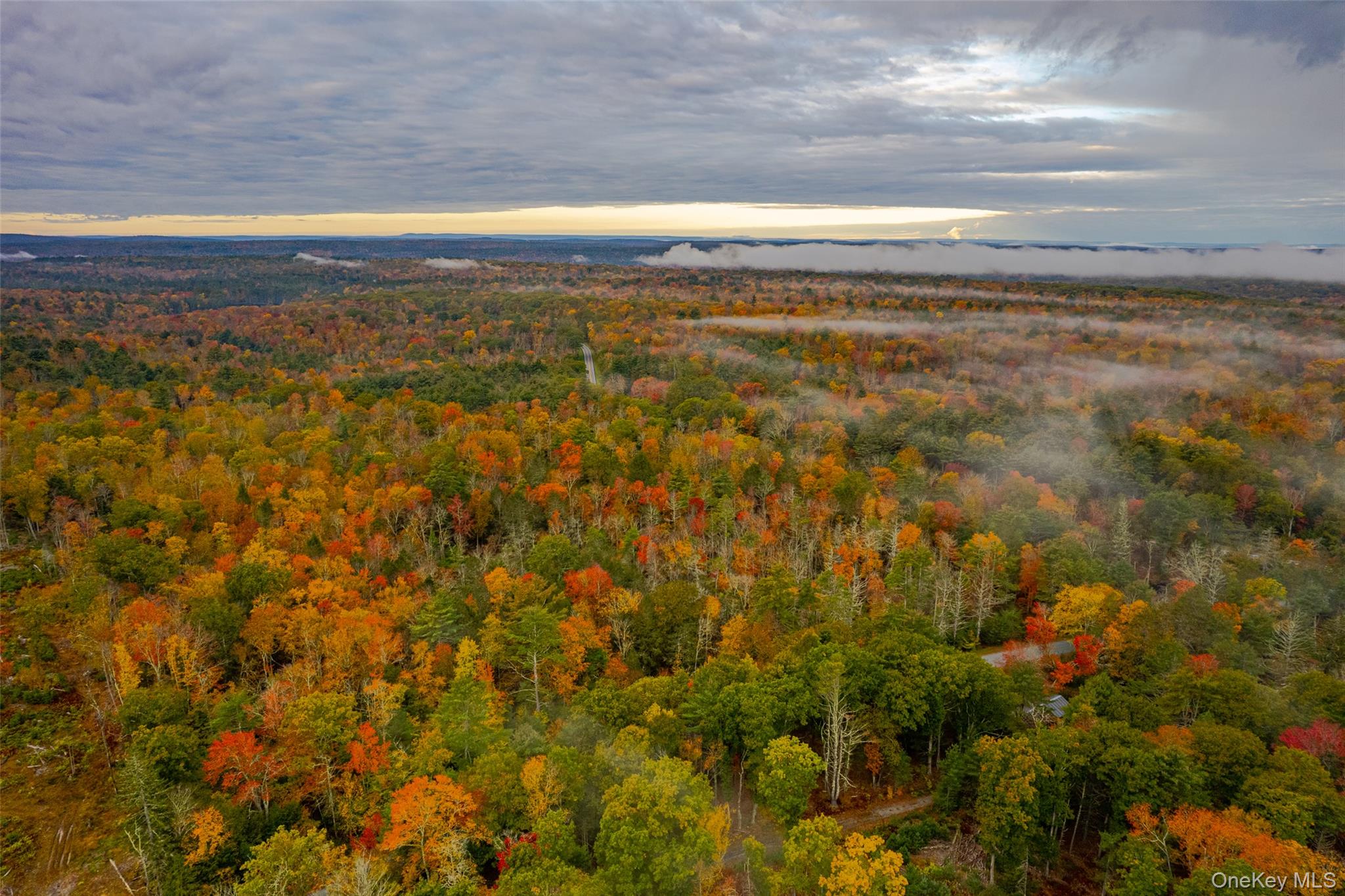 #4 photo, 1315 Sackett Lake Rd, 뉴욕주 Forestburgh , NY 12777