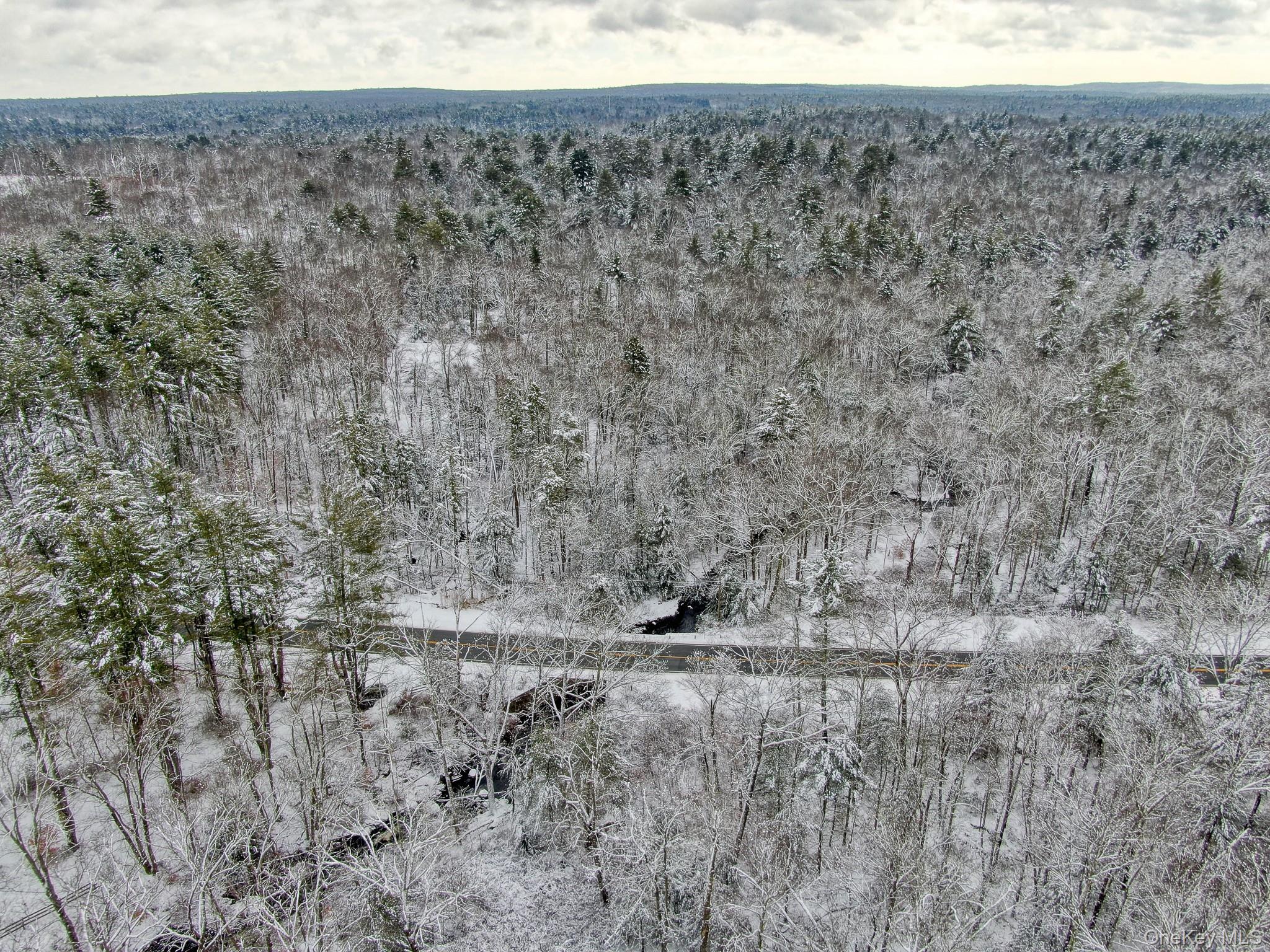 #5 photo, 1315 Sackett Lake Rd, 뉴욕주 Forestburgh , NY 12777