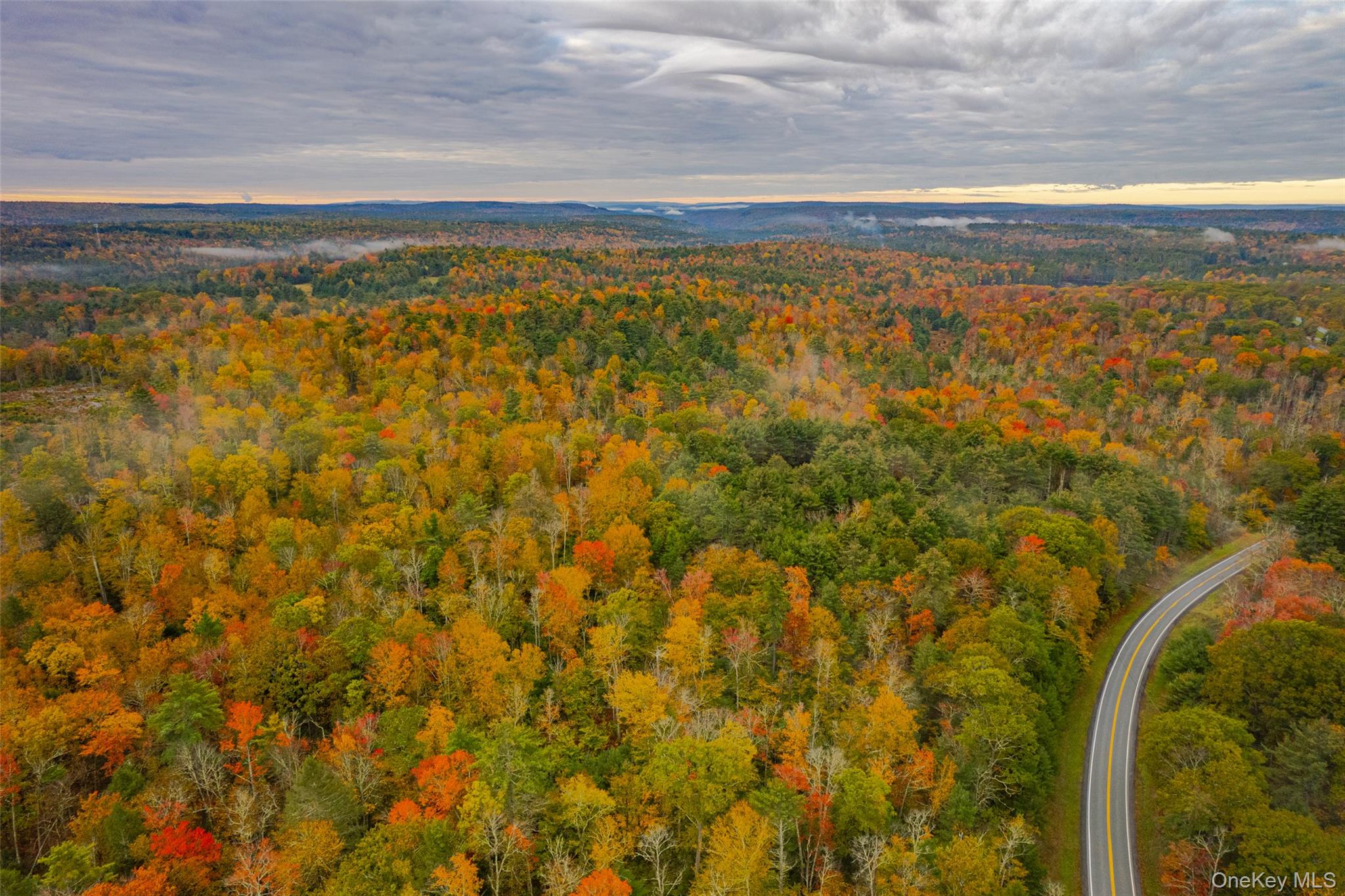 #8 photo, 1315 Sackett Lake Rd, 뉴욕주 Forestburgh , NY 12777