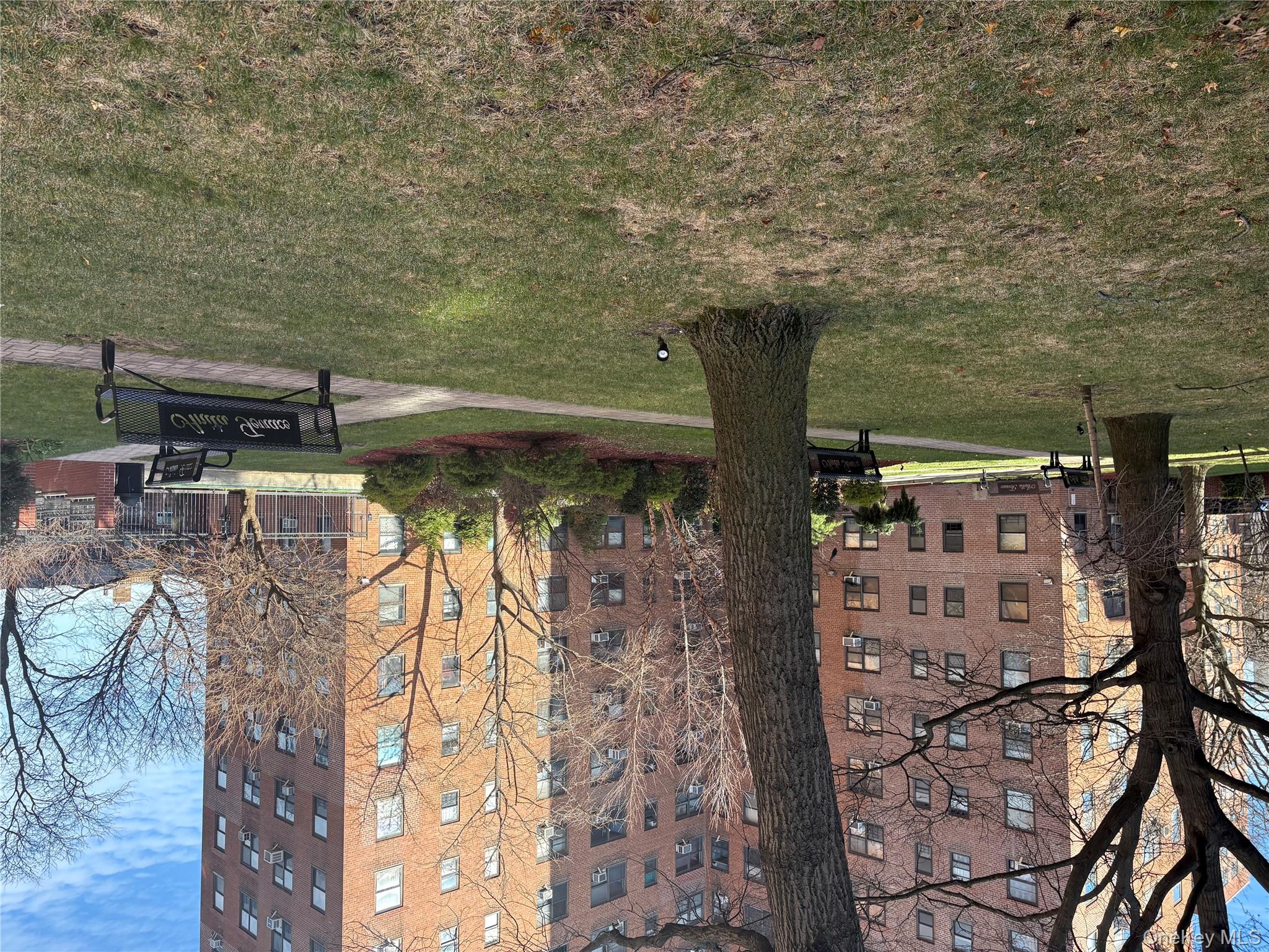 #13 photo, 99-05 63rd Dr, 皇后区 Rego Park , NY 11374