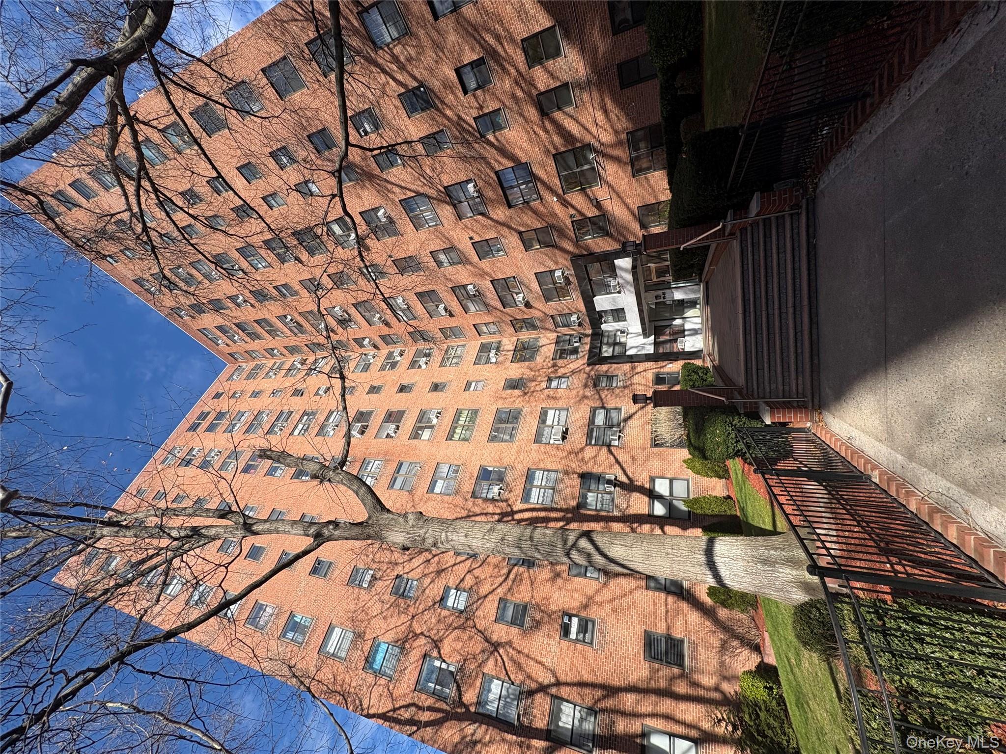 #15 photo, 99-05 63rd Dr, 皇后区 Rego Park , NY 11374