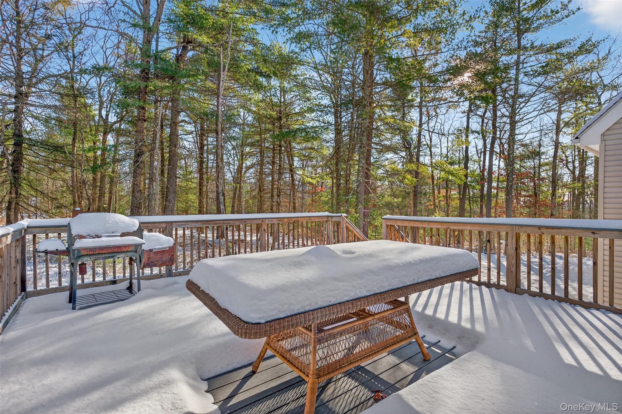 #20 photo, 131 Ozeriany Road, 纽约州 Glen Spey , NY 12719