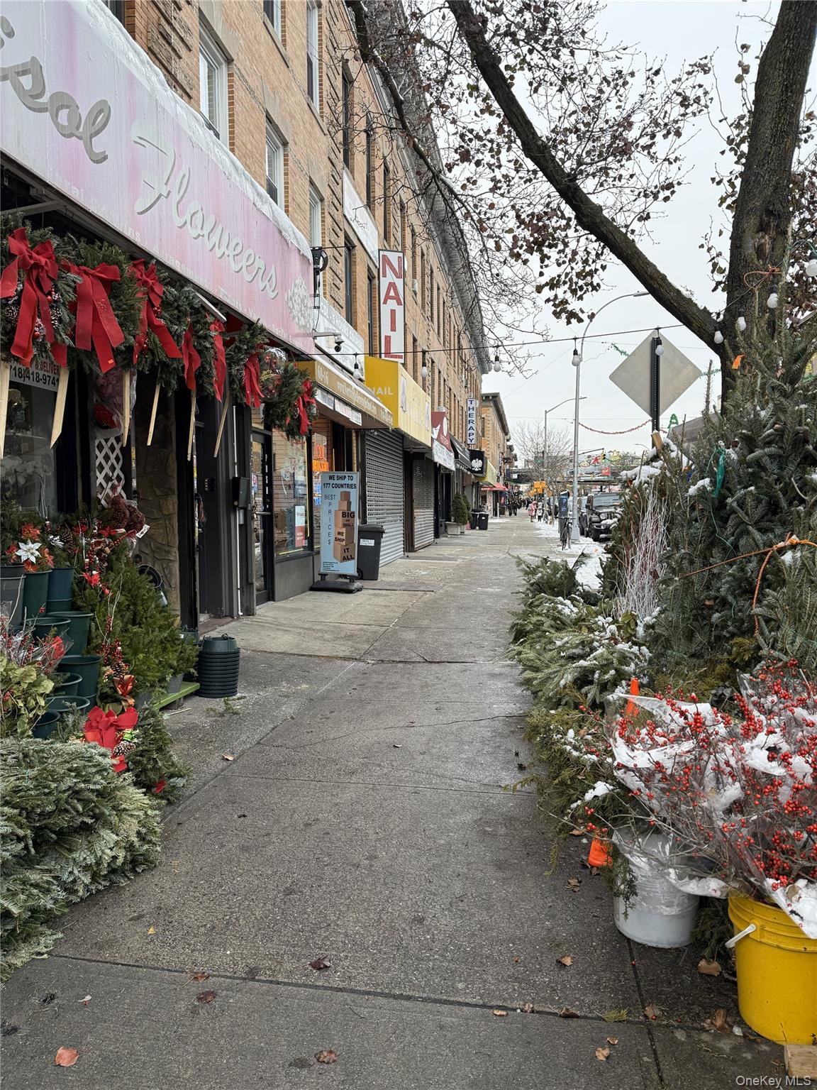 #12 photo, Ridgewood, 皇后区 瑞吉屋 Ridgewood , NY 11385