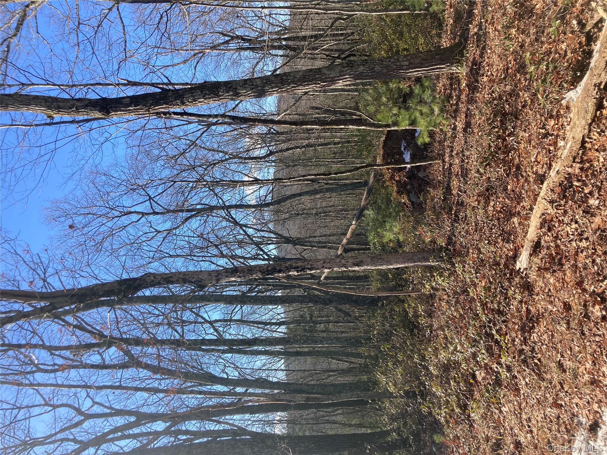 #4 photo, 00 Hoeppner Drive, Wurtsboro , NY 12790