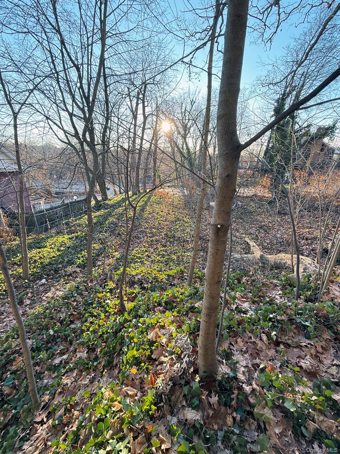 #10 photo, 6 aka 10 Rossmore Avenue, 布朗士 Bronxville , NY 10708