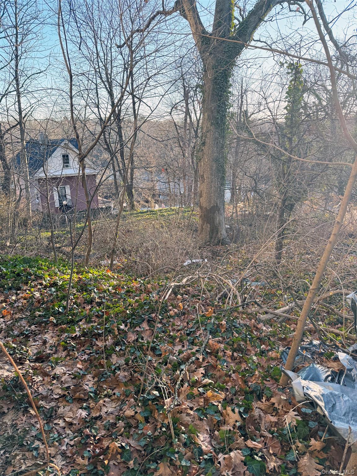 #11 photo, 6 aka 10 Rossmore Avenue, 布朗士 Bronxville , NY 10708