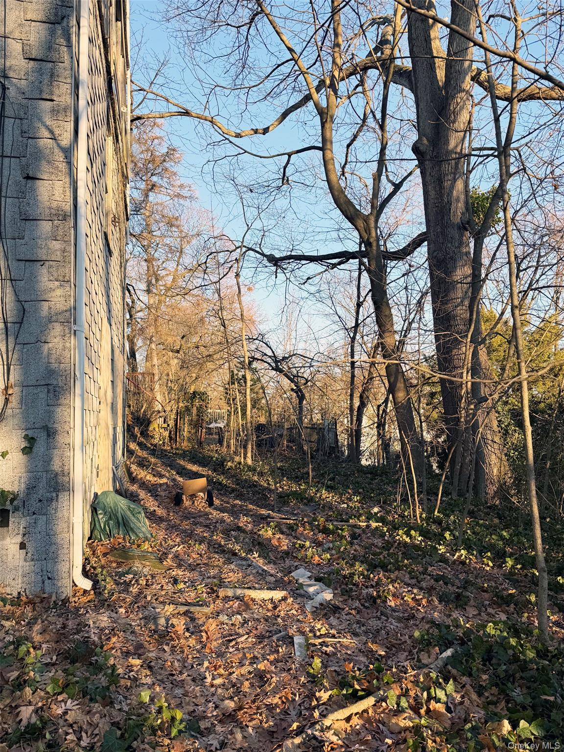 #8 photo, 6 aka 10 Rossmore Avenue, 布朗士 Bronxville , NY 10708