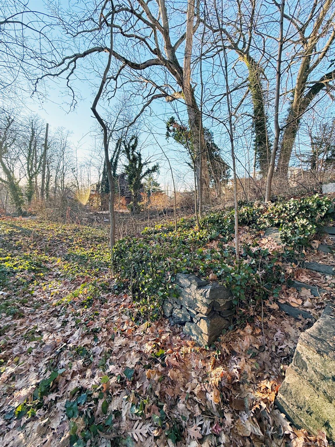 #9 photo, 6 aka 10 Rossmore Avenue, 布朗士 Bronxville , NY 10708