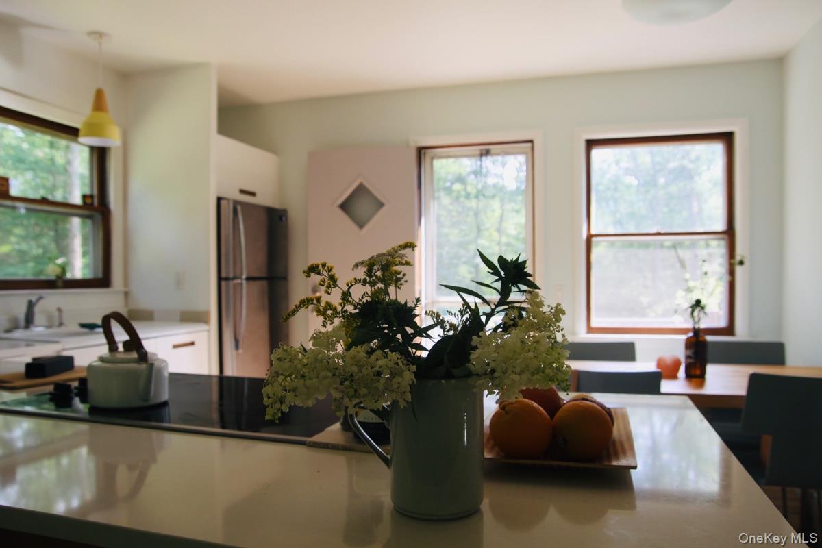 #8 photo, 136 School Street, Narrowsburg , NY 12764