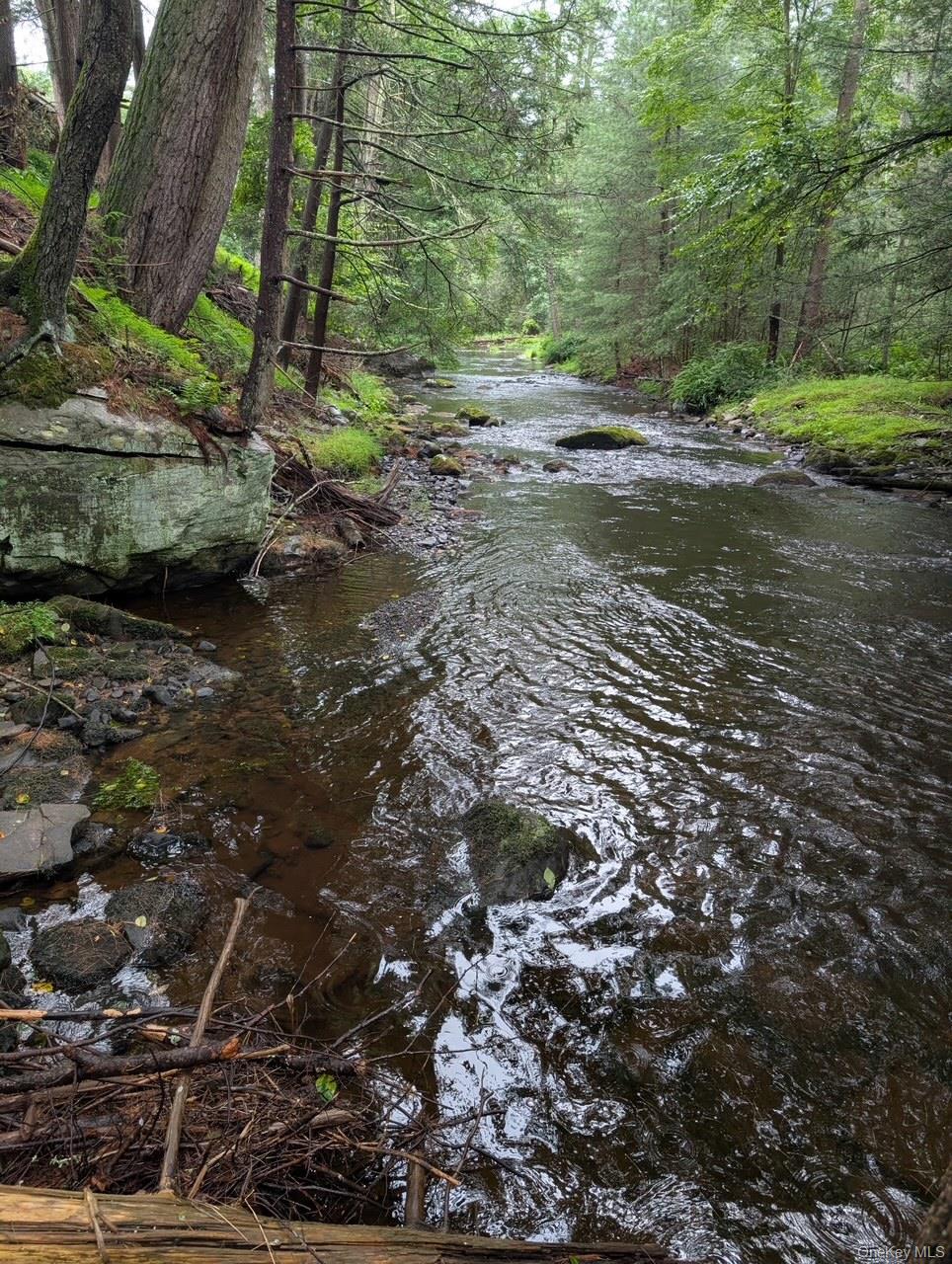 #11 photo, 50 Park Road, 뉴욕주 Yulan , NY 12792