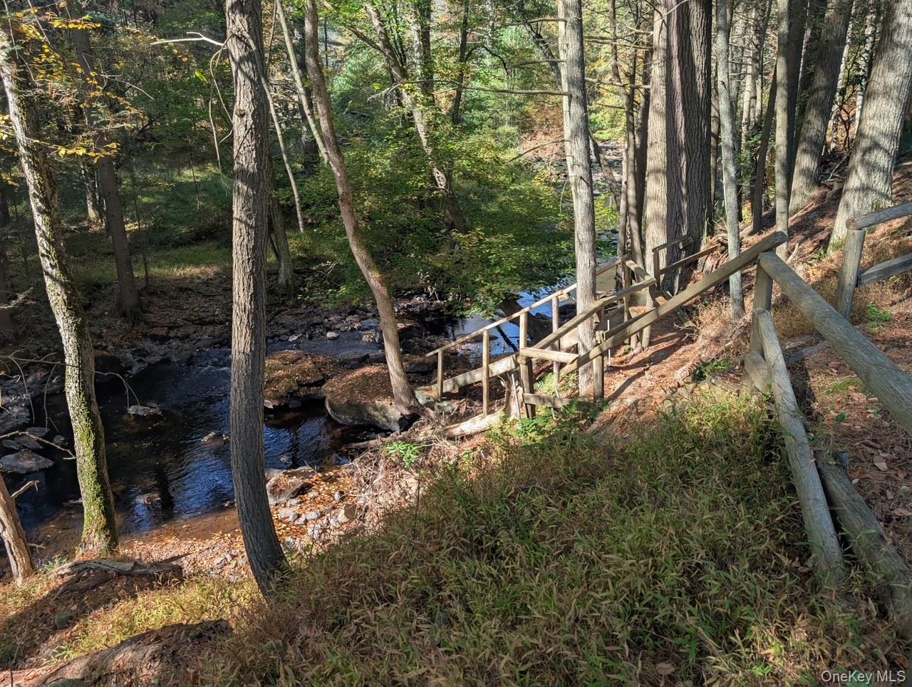 #12 photo, 50 Park Road, 뉴욕주 Yulan , NY 12792