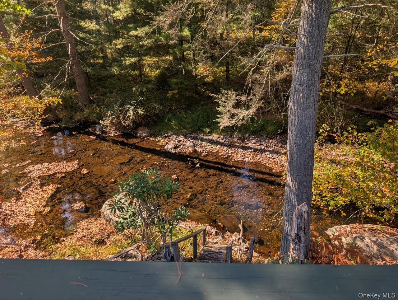 #4 photo, 50 Park Road, 뉴욕주 Yulan , NY 12792